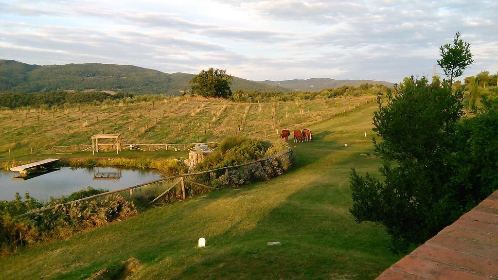 Fattoria San Paolo Agriturismo Montecastelli Pisano Eksteriør bilde