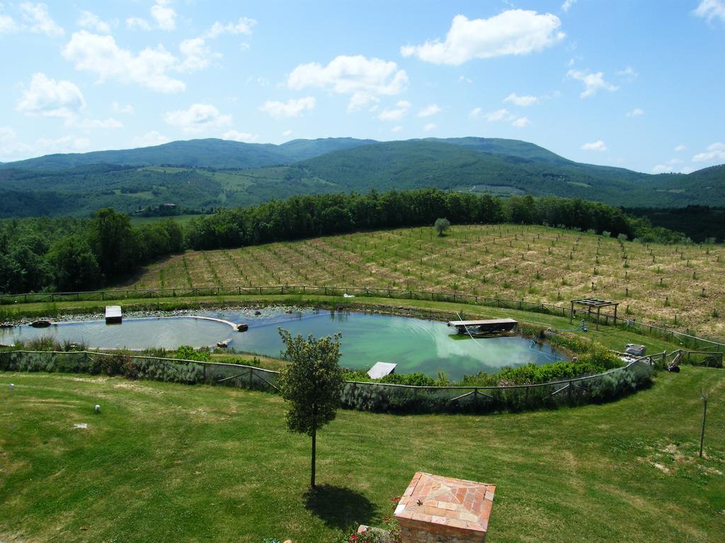 Fattoria San Paolo Agriturismo Montecastelli Pisano Eksteriør bilde