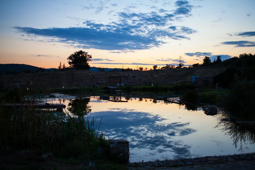 Fattoria San Paolo Agriturismo Montecastelli Pisano Eksteriør bilde