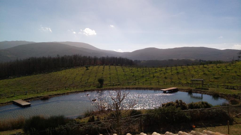 Fattoria San Paolo Agriturismo Montecastelli Pisano Eksteriør bilde