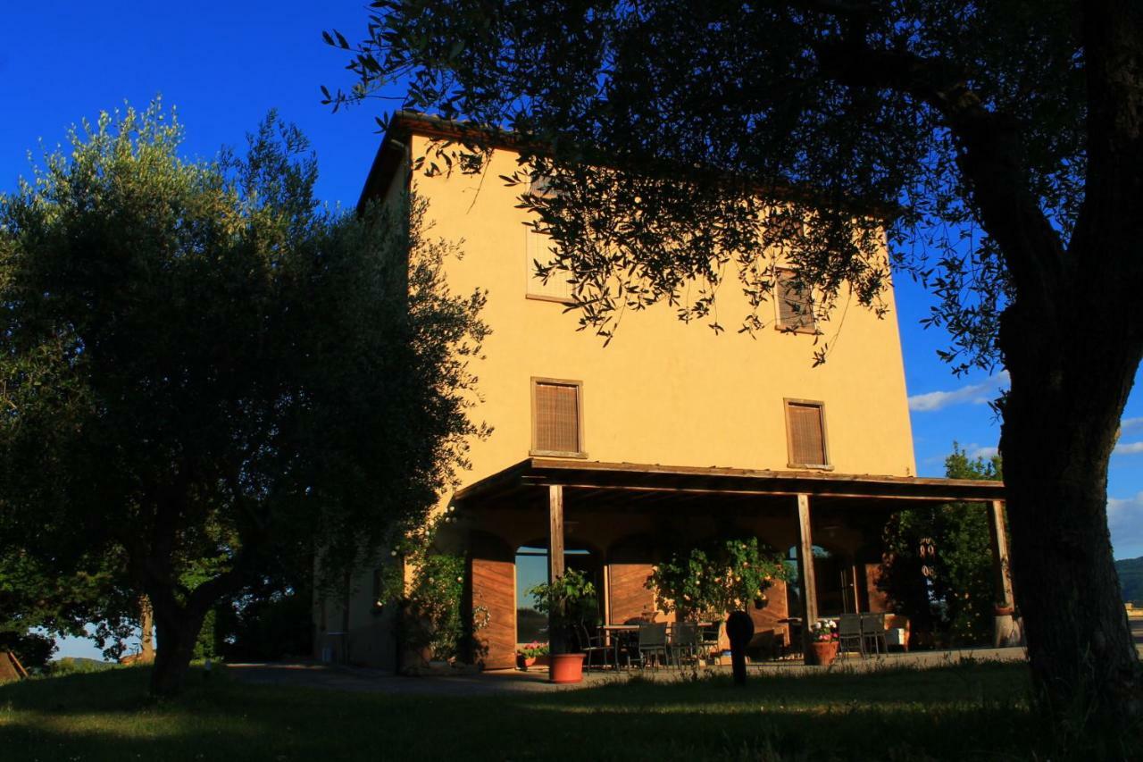 Fattoria San Paolo Agriturismo Montecastelli Pisano Eksteriør bilde