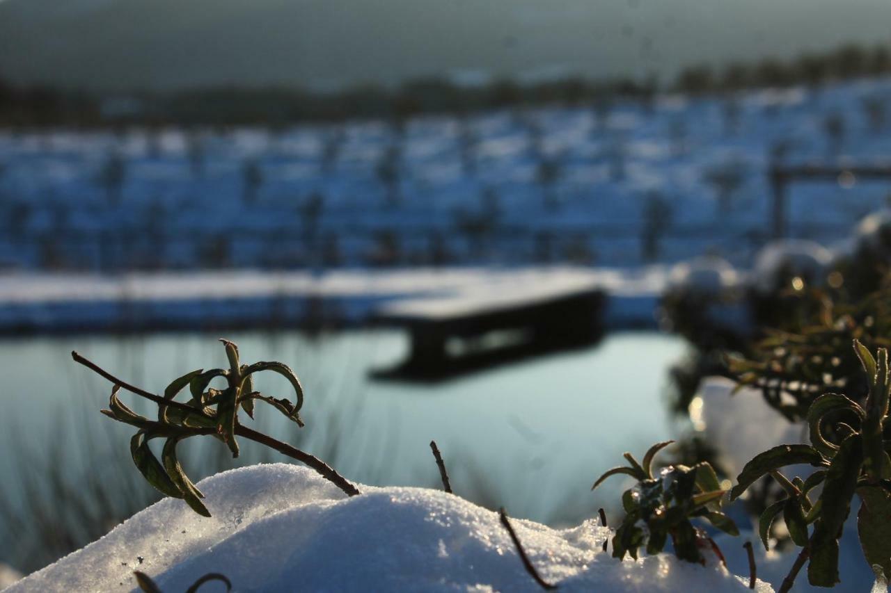 Fattoria San Paolo Agriturismo Montecastelli Pisano Eksteriør bilde